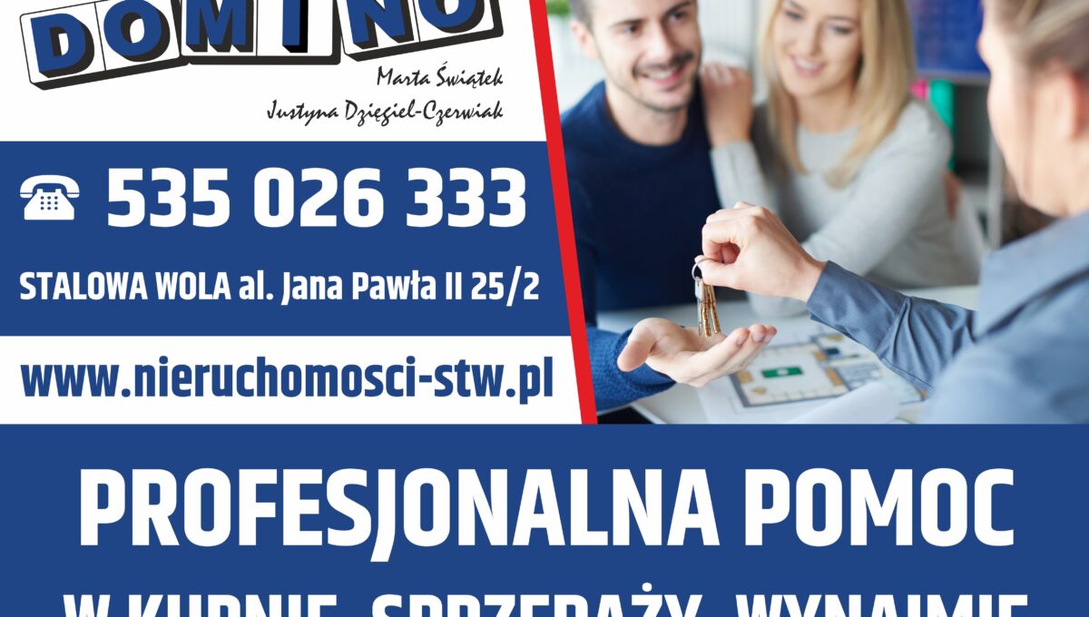 baner domino a3