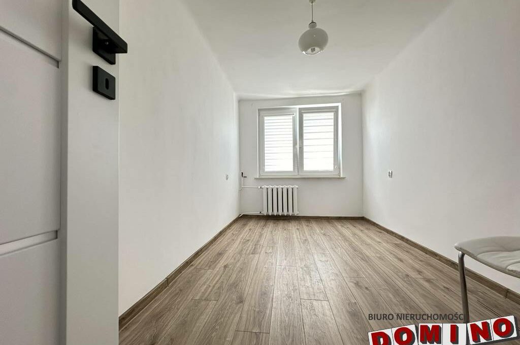 438083879_1401605657165181_6223111172904914066_n