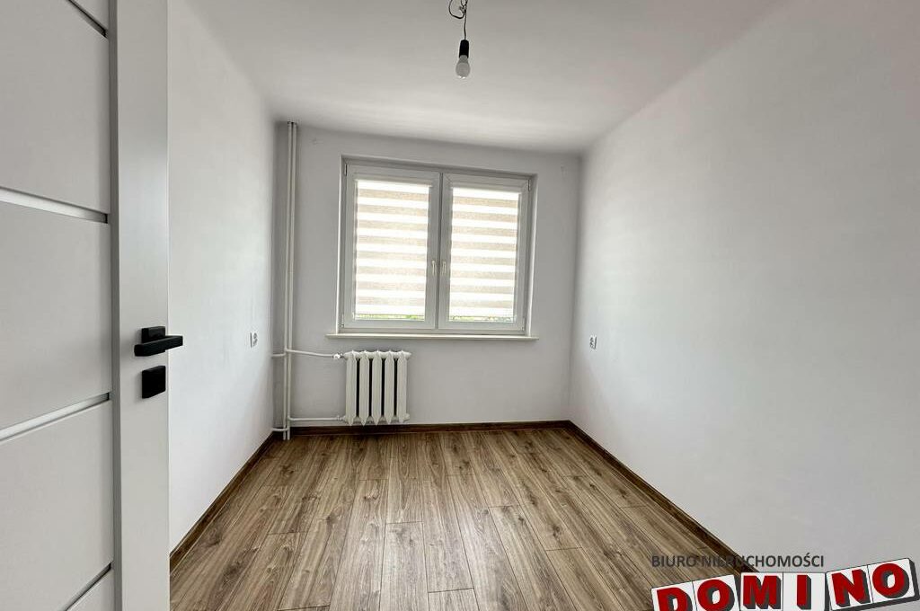 438095092_1468098853847924_5422220606201401745_n