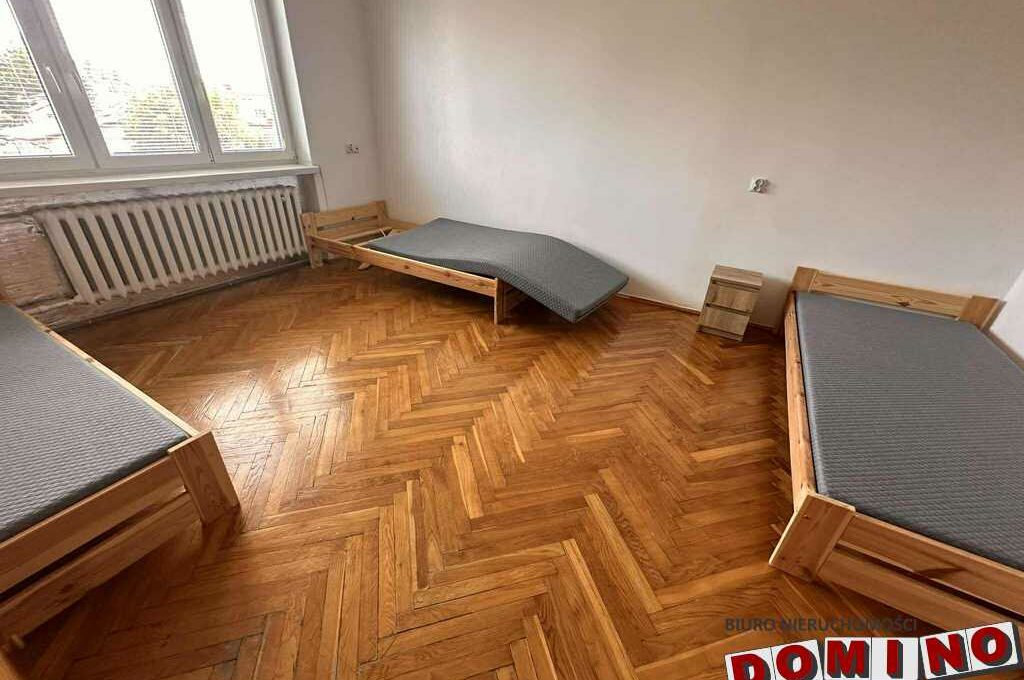 506108377_1020542783480090_8484129474400941014_n
