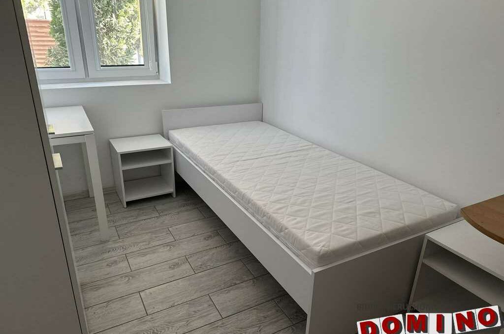 494328273_1037258865014959_6957085540485438248_n