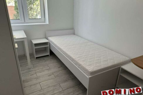 494328273_1037258865014959_6957085540485438248_n