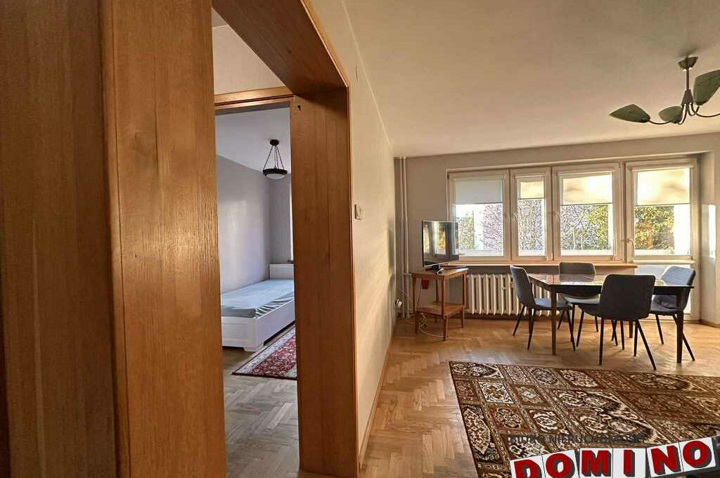 552158086_1113123210997906_7211258603029893848_n