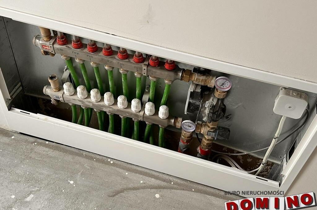 486495427_4361731417445377_6039393626109277854_n