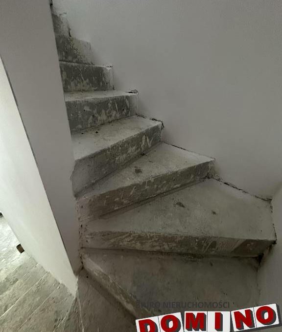 449167605_1729138297886444_5223199736272798723_n