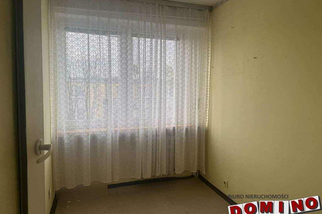 594431184_3827453387551023_4461794927230550869_n