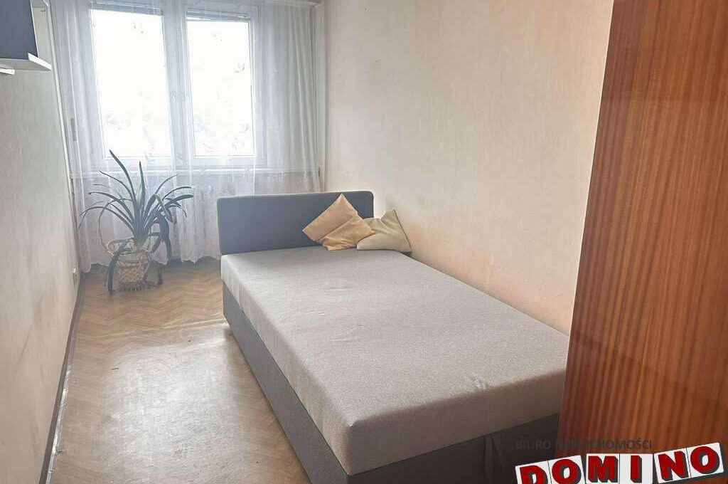 597152569_1680556493250382_4269201991858064381_n