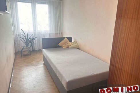 597152569_1680556493250382_4269201991858064381_n