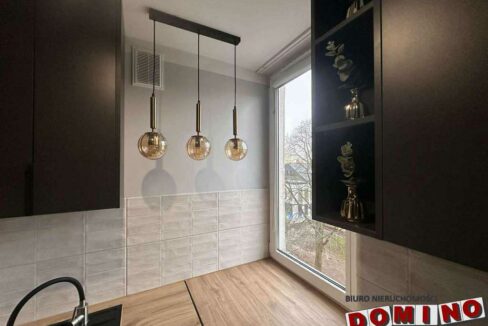 597340993_2195318990955476_6655966126604850432_n