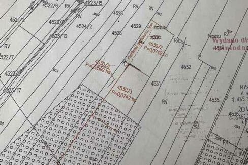 619259603_2135140217258258_1227122918625279838_n