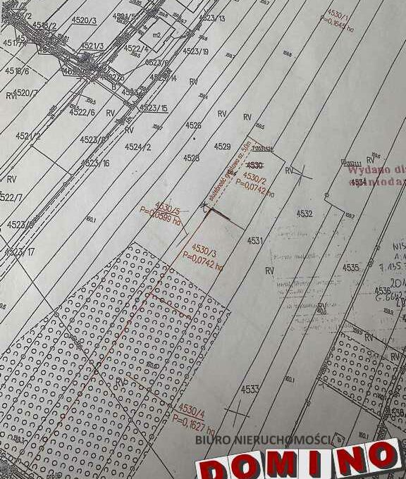 619259603_2135140217258258_1227122918625279838_n