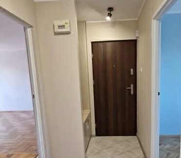 633207677_878272038457960_819342218082178803_n