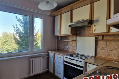 637550434_2331355420664281_7268695249633340297_n