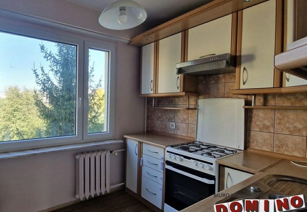 637550434_2331355420664281_7268695249633340297_n