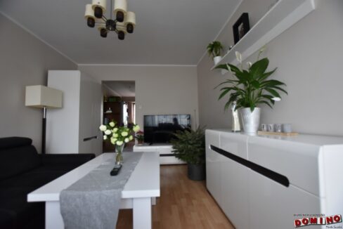 475493066_1280771659736588_3452835873441218522_n