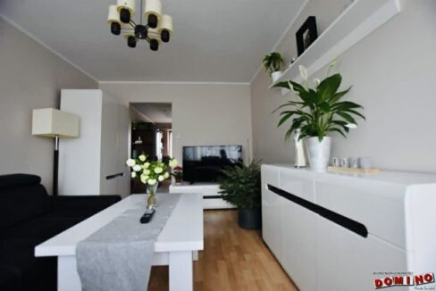 678703956_1487737142905127_6084941929870634957_n