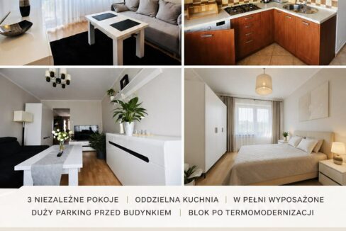 678931066_4232335117080250_1688304545936382095_n