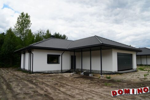 DSC03925