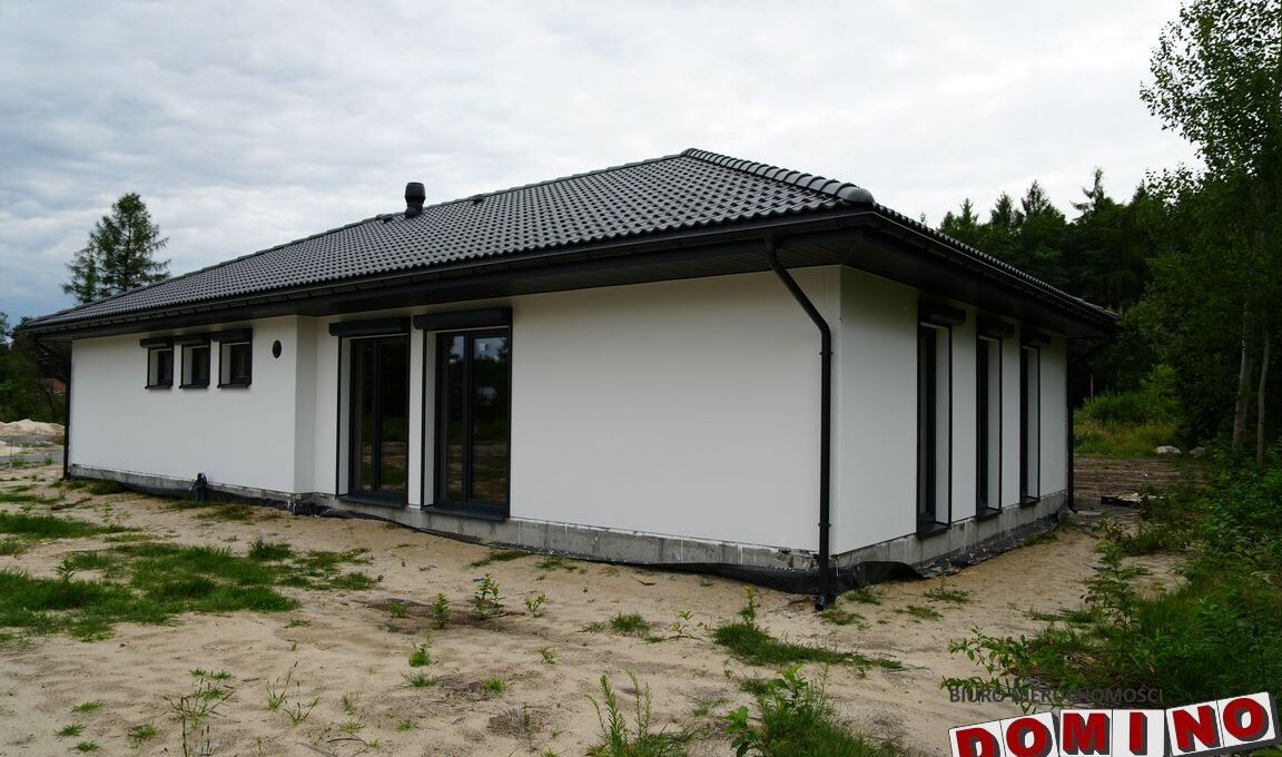 DSC03938