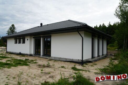 DSC03938